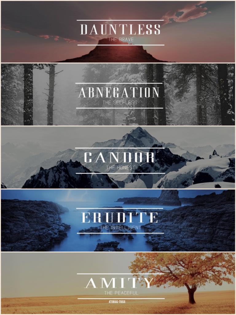 Collage by 4Tobias-Tris6