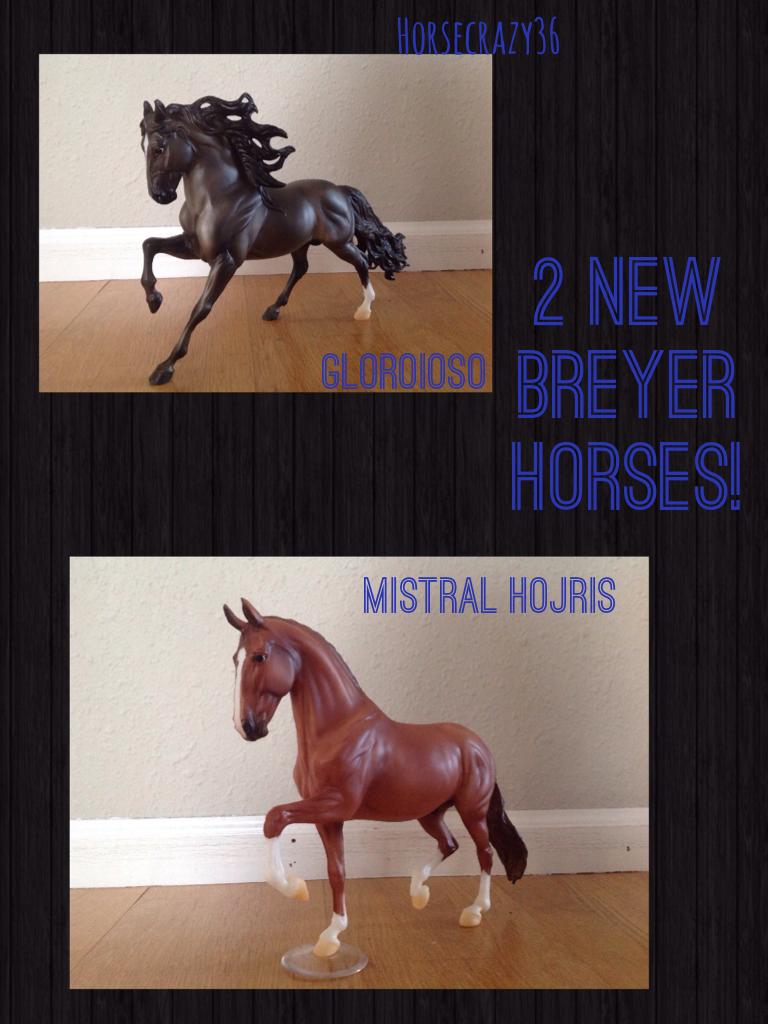 2 new Breyer horses!