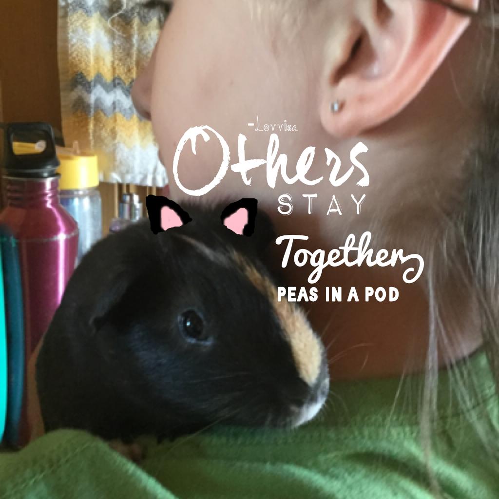   Tap here🌯
This is a pic of my 
Friend Ruby and her Guinea 
Pig Peanut butter!!💕💕💕