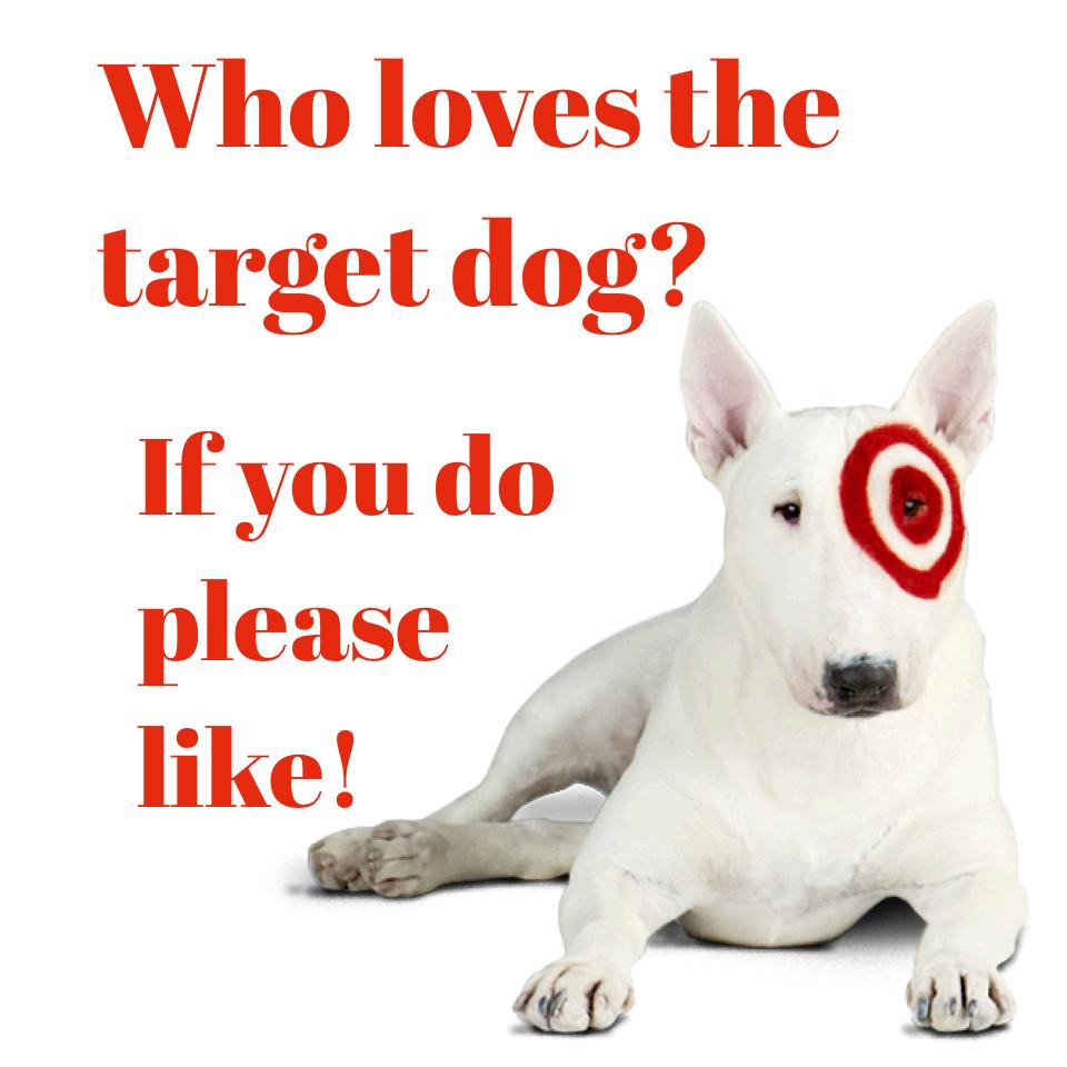 Who loves the target dog