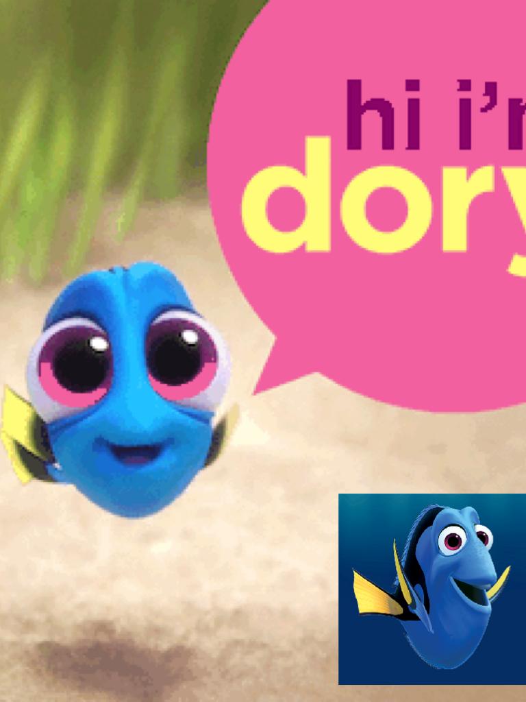 Hi, I'm dory