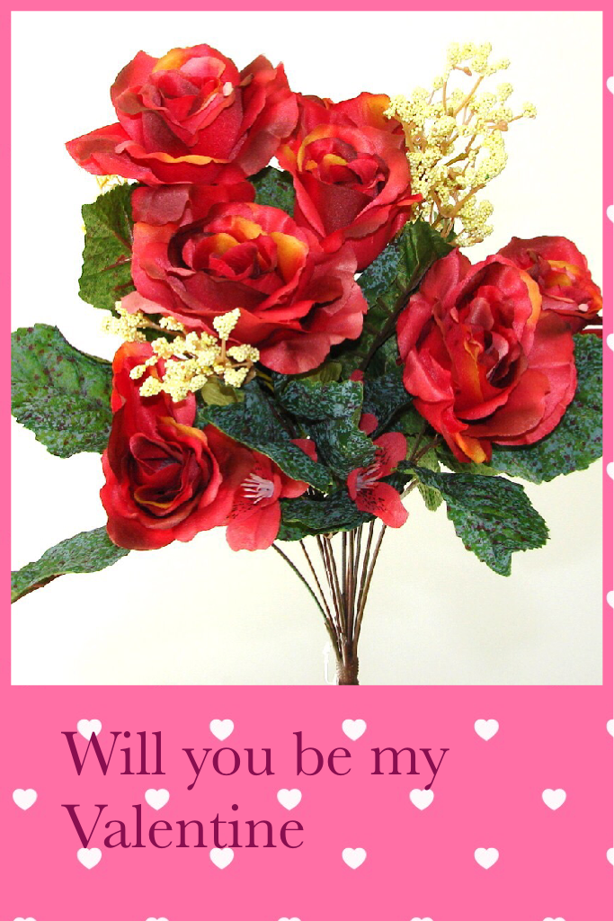 Will you be my Valentine 