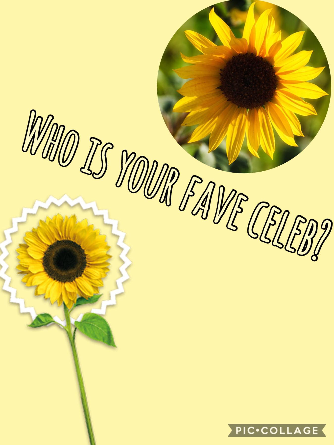 Who’s your fave celeb?