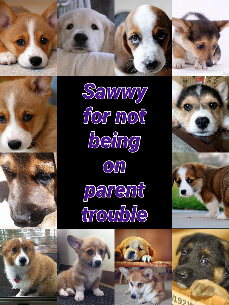 Sawwy for not being on parent trouble…