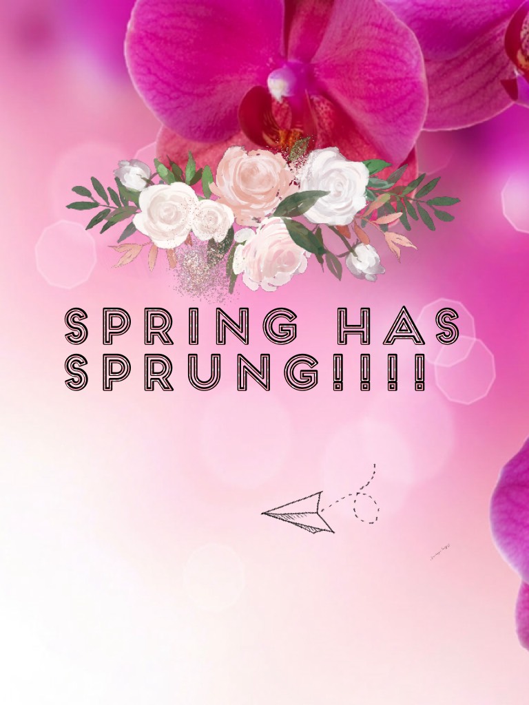 Spring has sprung!!!!