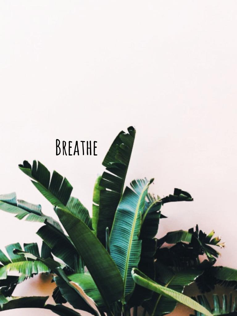 Breathe ☁️