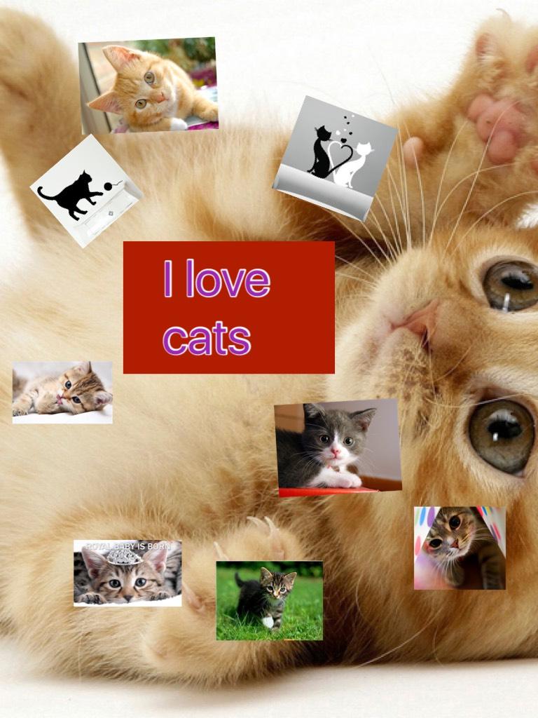 Collage by catlover_10