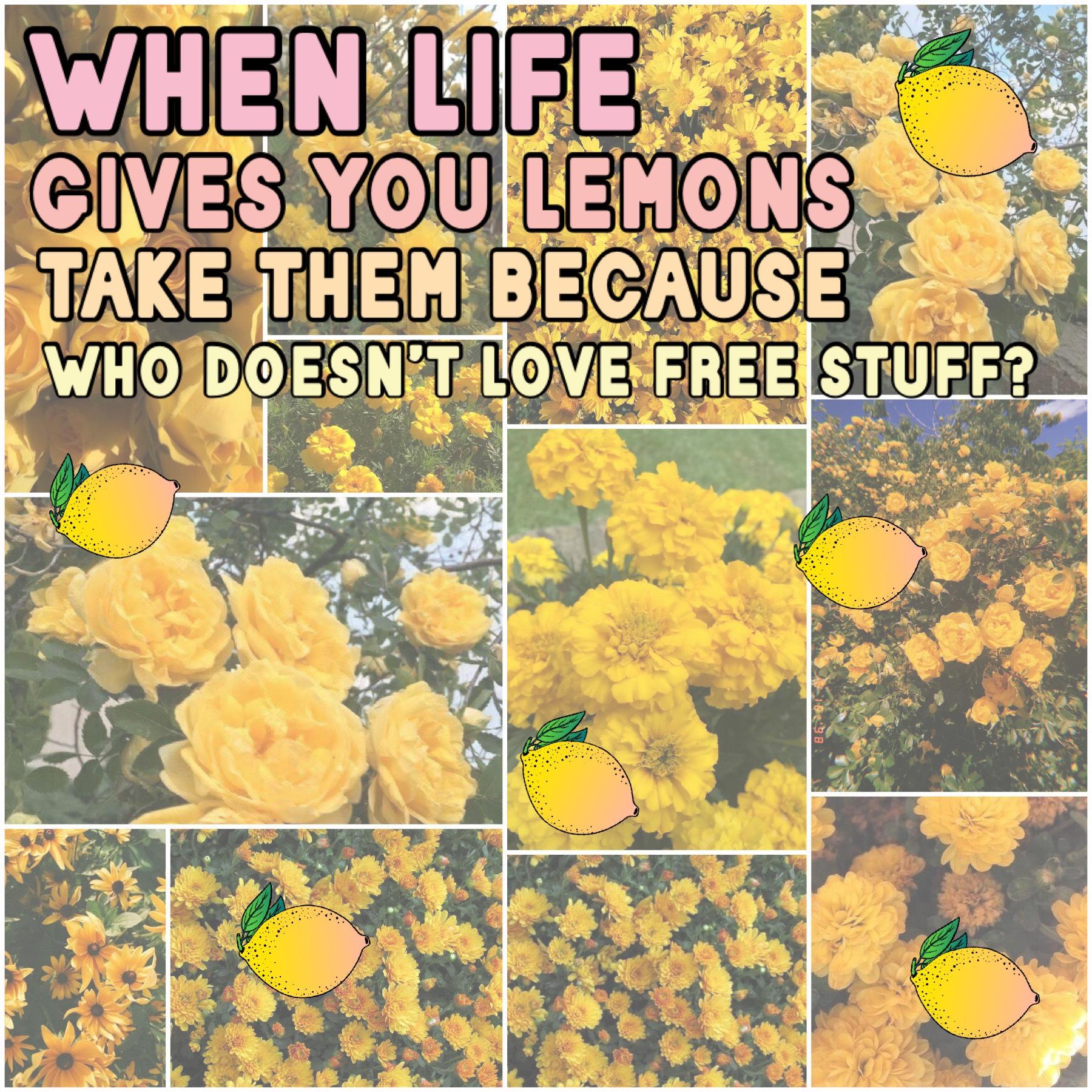 don’t just make lemonade, make orange juice because maybe life gave you oranges too