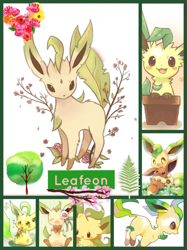 Leafeon colection
My second fav <3
