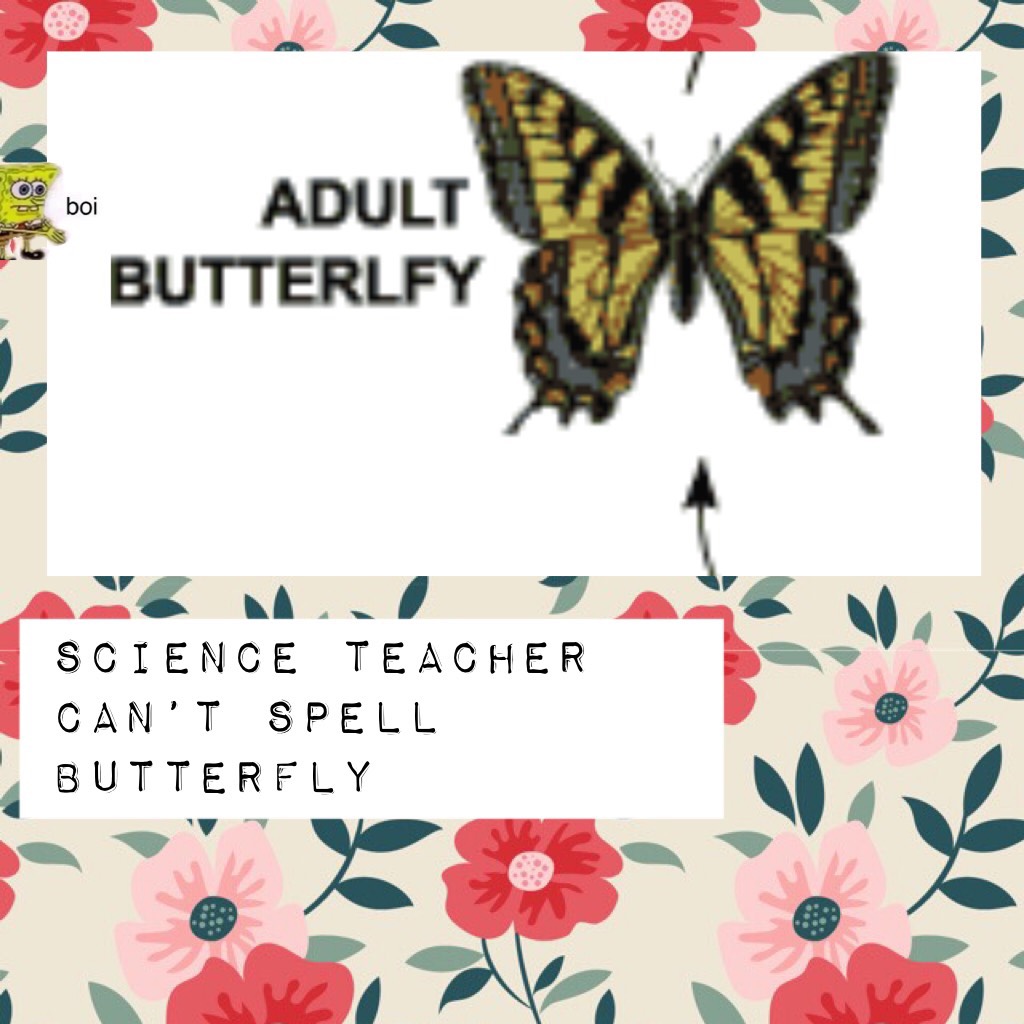 Science teacher can’t spell butterfly 