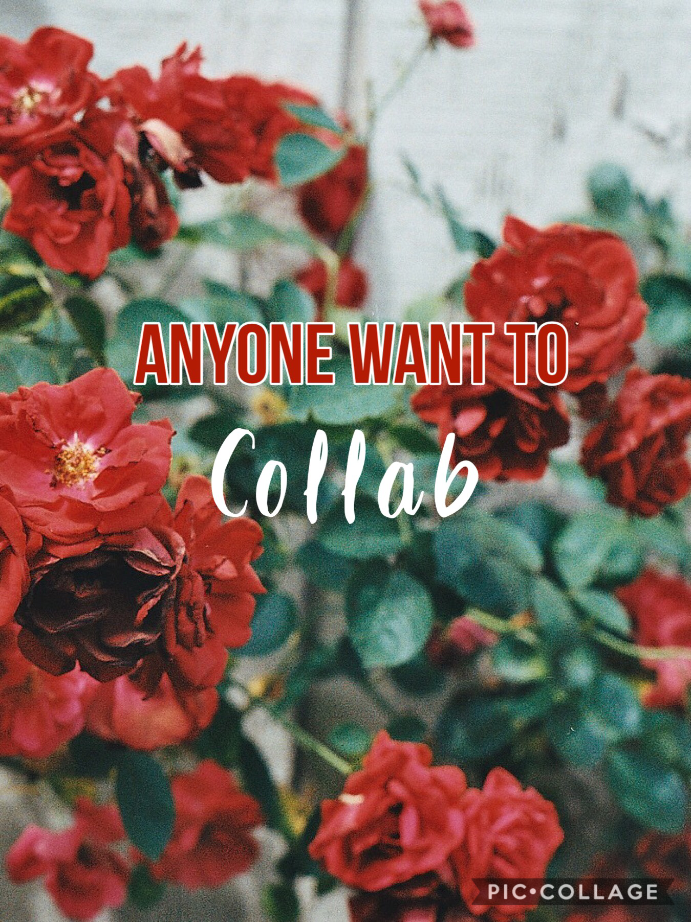 🥀Tap🥀
If u what to collab comment down below I like any style 💛🌻💕🌊🌴