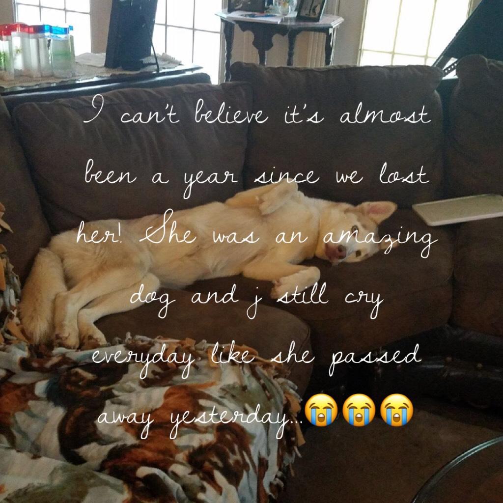 I can’t believe it’s almost been a year since we lost her! She was an amazing dog and j still cry everyday like she passed away yesterday...😭😭😭