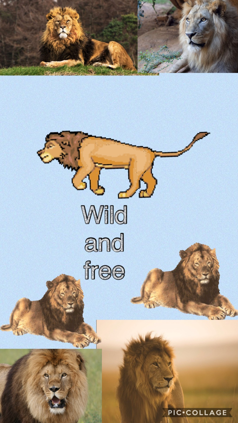 Being Wild and free matters