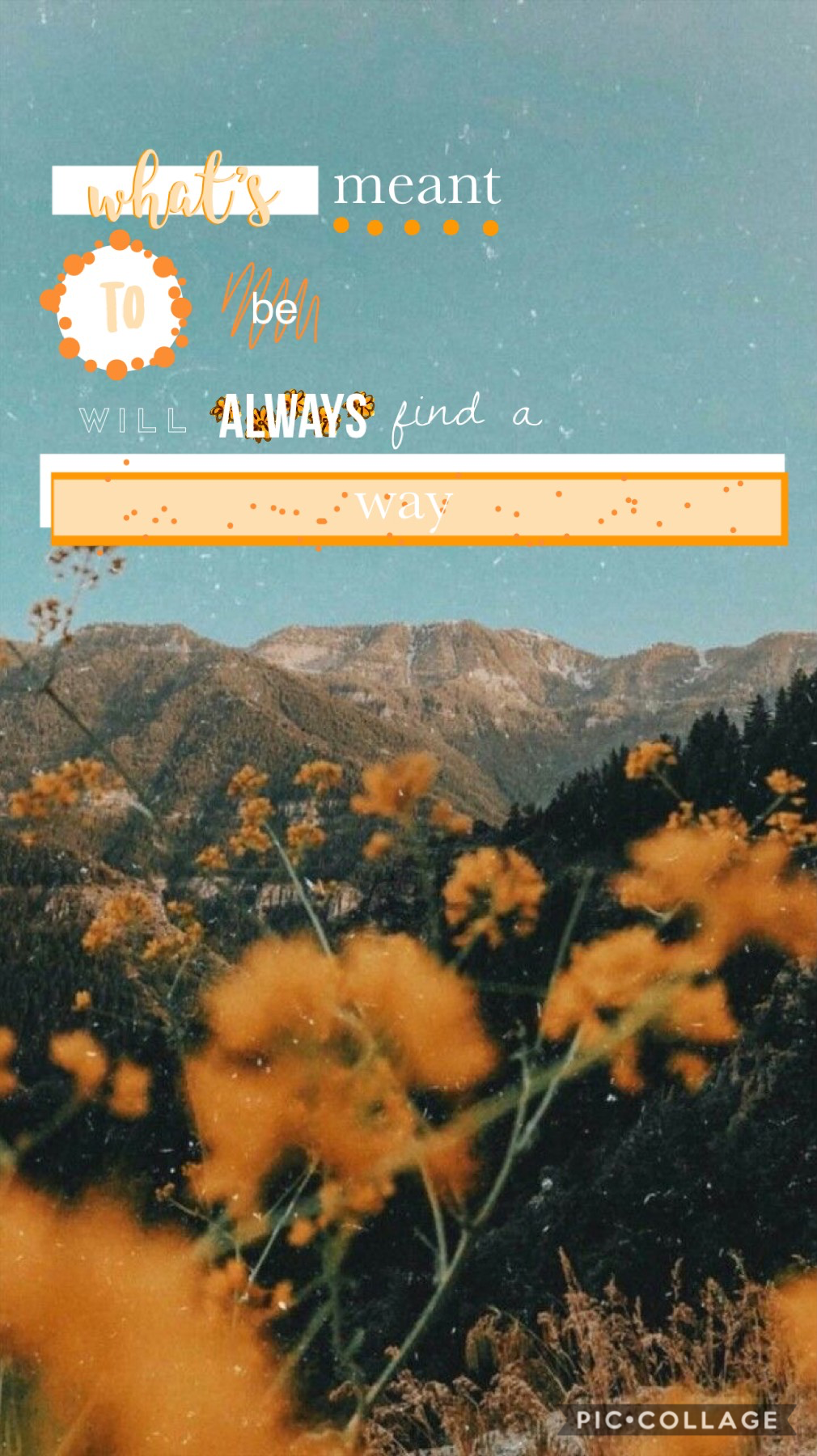 🧡tap🧡
okay... so long time no see... I started this, ended up not liking it very much, but oh well. Didn’t realize how much I missed PicCollage, so hopefully I will start posting again 🤞🏻💕