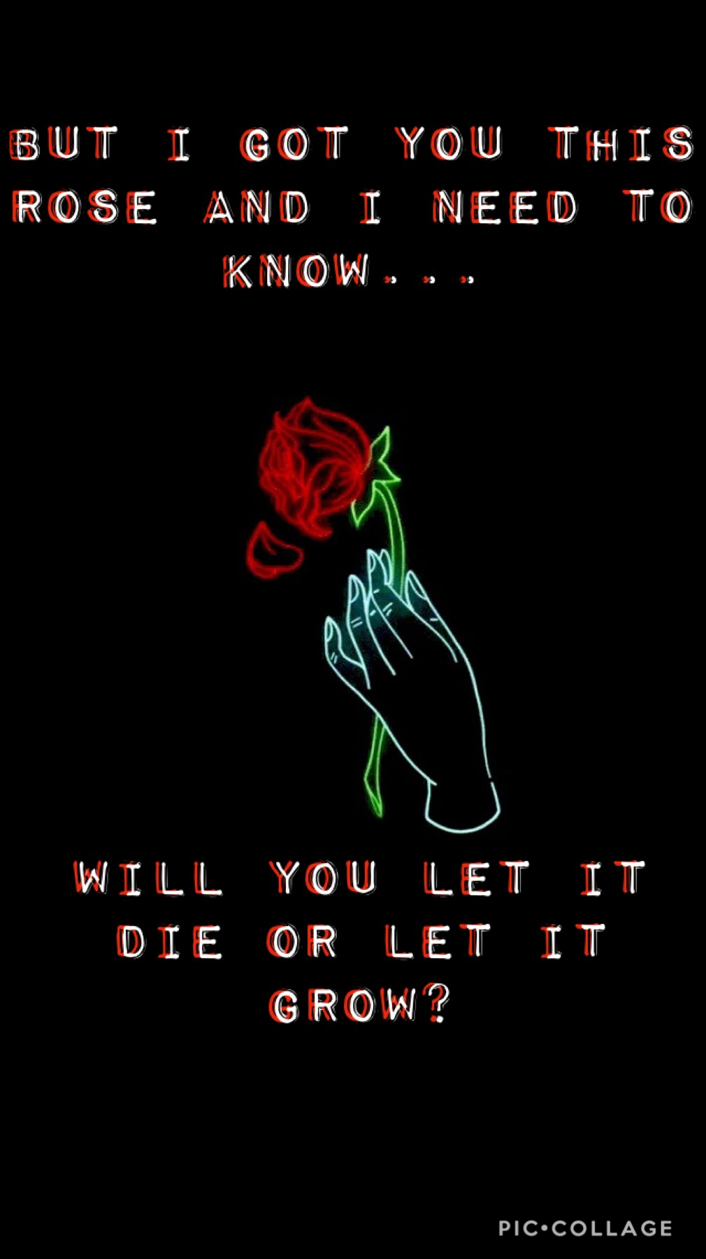 Roses ~ Shawn Mendes...