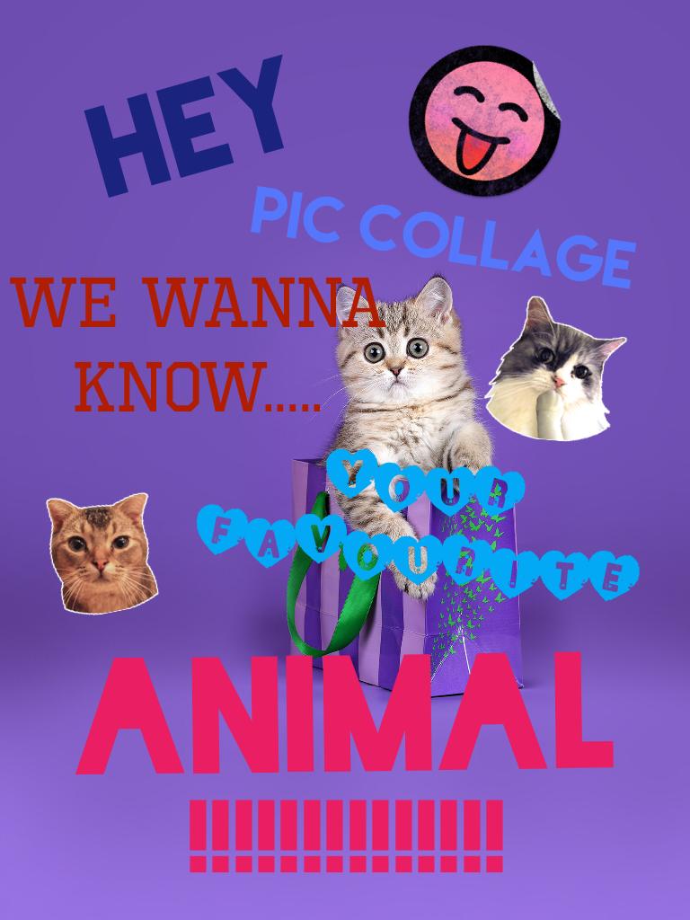 HEY PicCollage we want to know your favourite animal