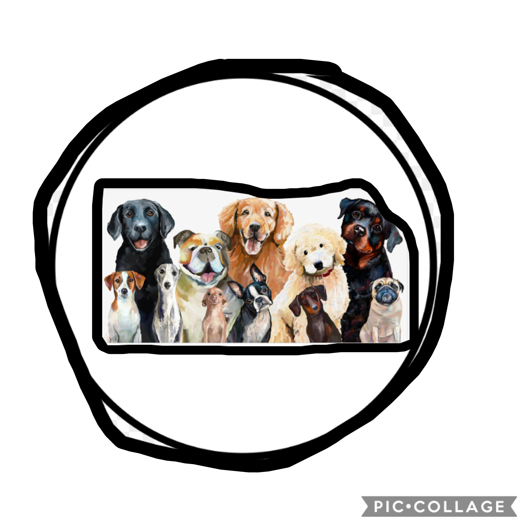 For Samara’s dog circle thing 