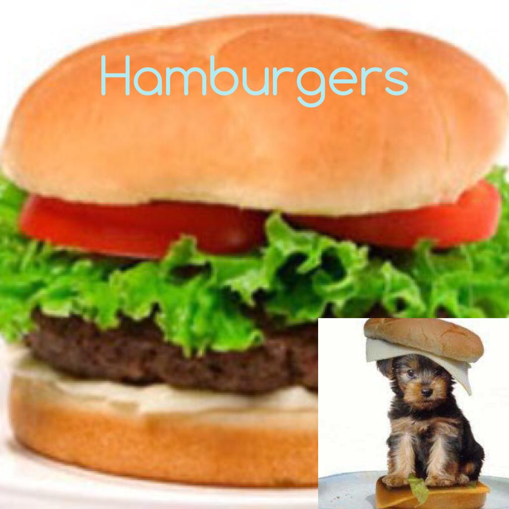 Hamburgers 