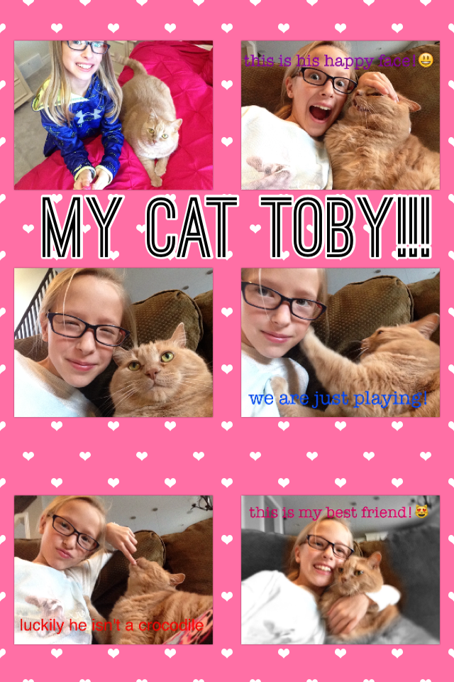 My cat TOBY!!!