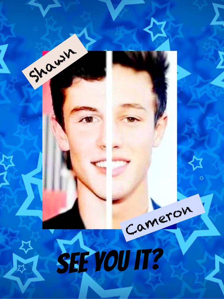 See you it? Shawn and cameron are so same 