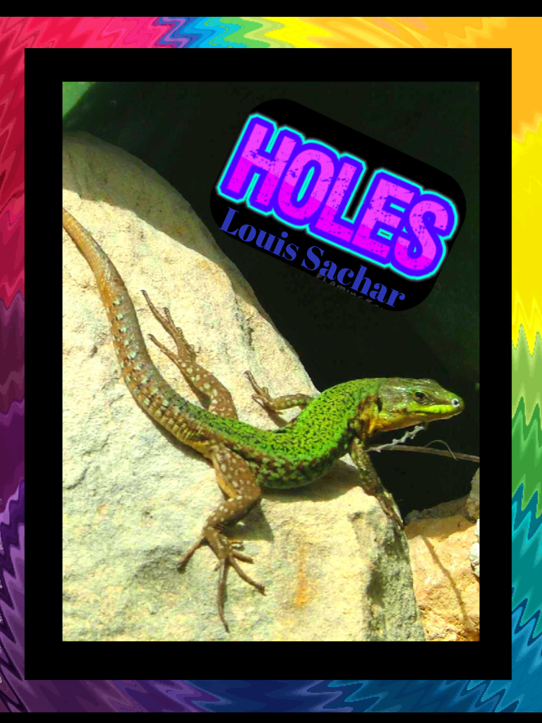 Holes book cover