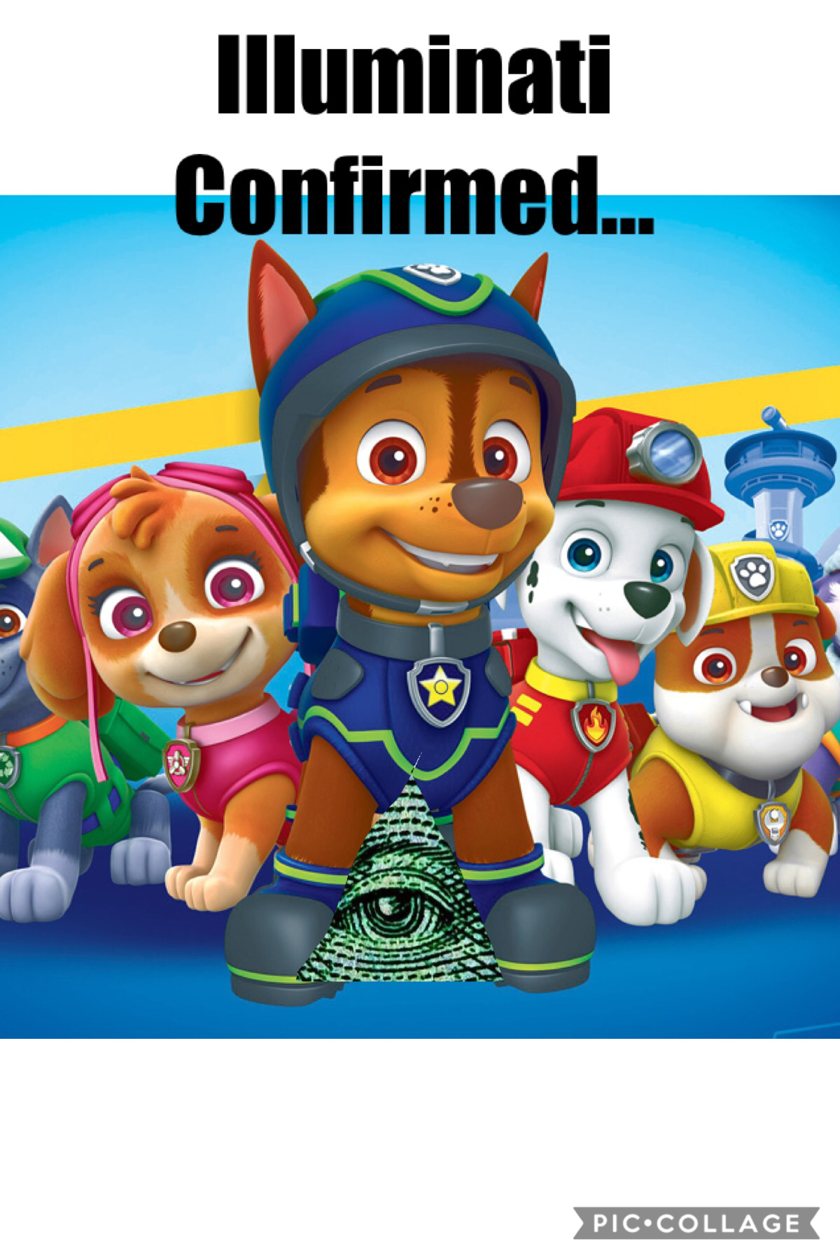 How could you Chase?
#pawpatrol #illuminaticonfirmed 