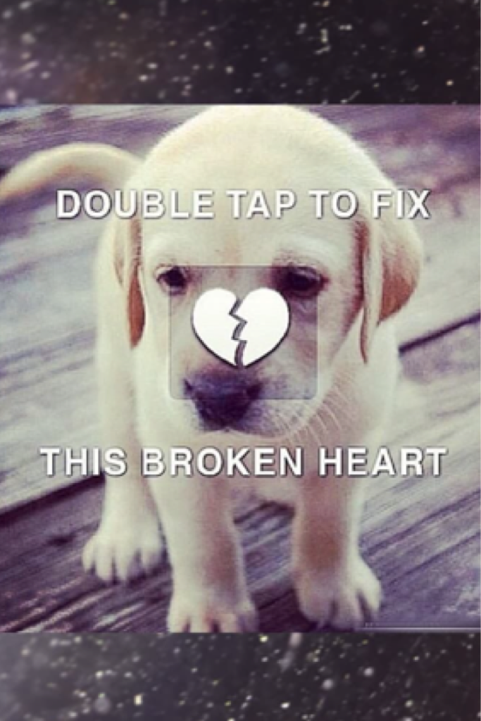 Please fix the dogs broken heart ❤️ 