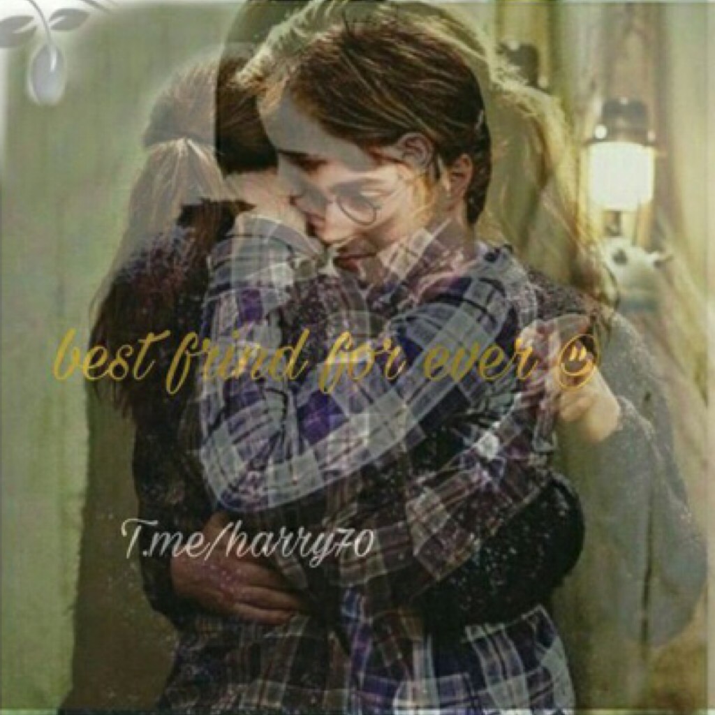 Harry Potter and hermione granger 