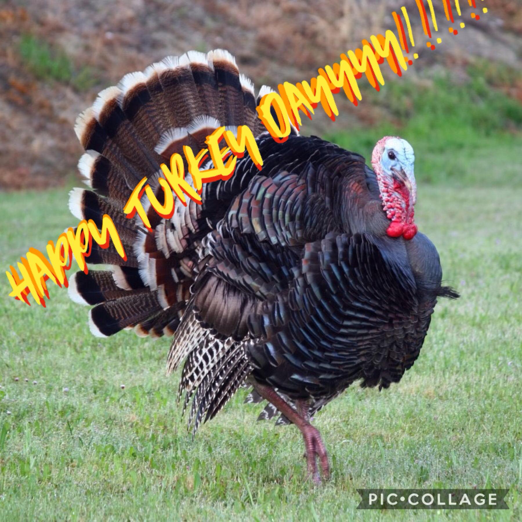 TURKEY DAY IS THE ONE DAY WHERE I CAN GO INTO A FOOD COMA!!!!! YEAH!!!!! BOIIIIII