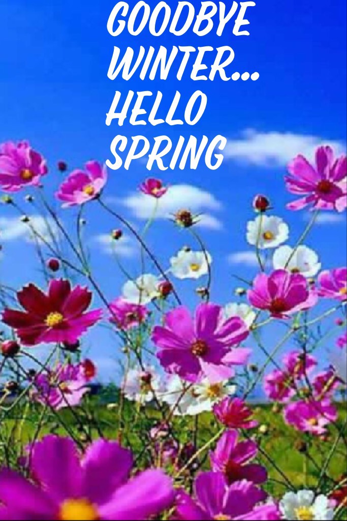Goodbye winter...
Hello spring
Please like follow and comment 