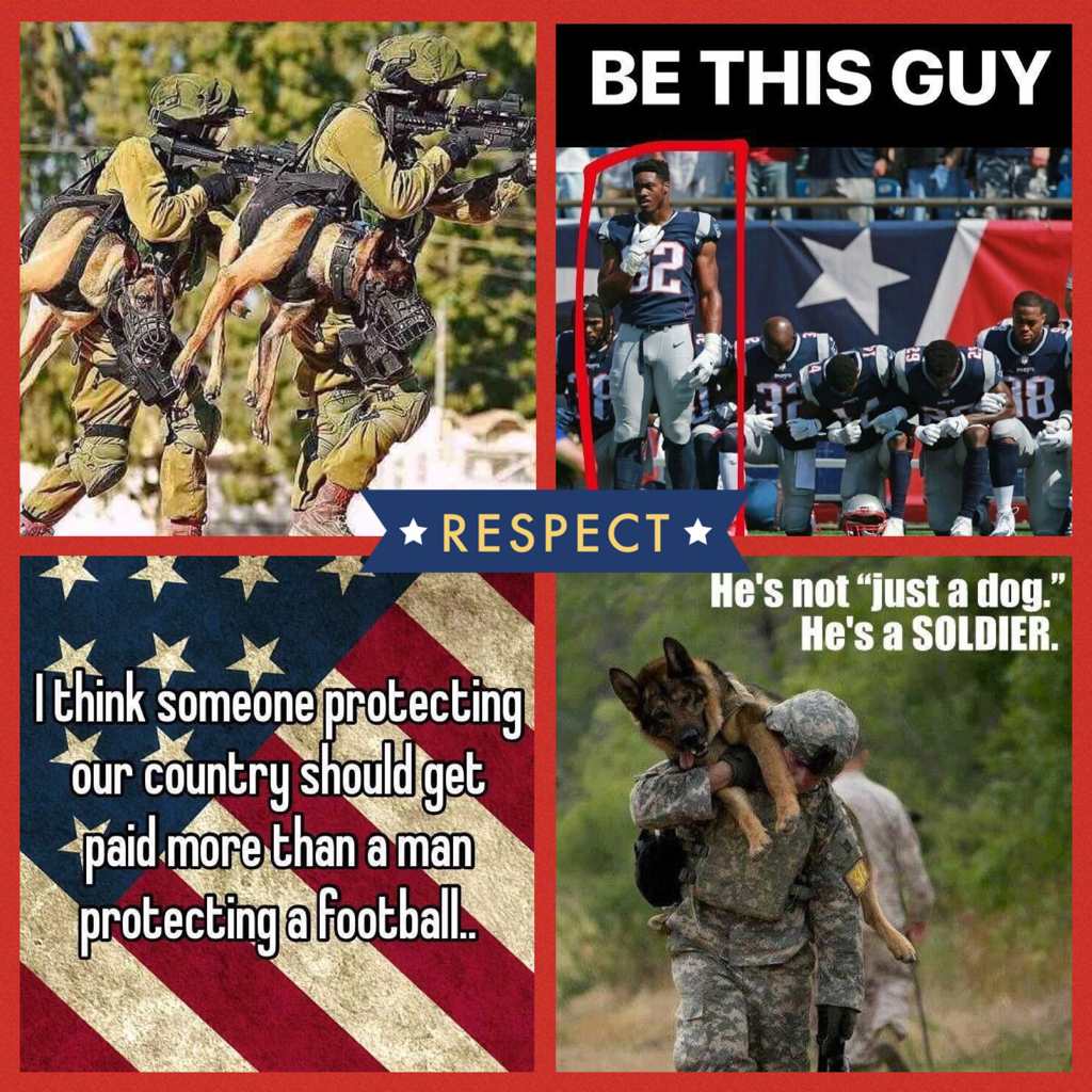 Honer and respect the ones who fought for our freedom! The right to bear arms to protect ourselves,the right to do things other countries can’t do.Respect it don’t disrespect it! 