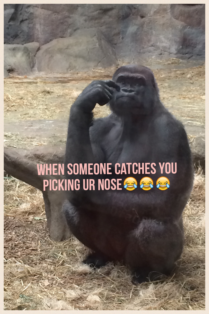 When someone catches you picking ur nose😂😂😂