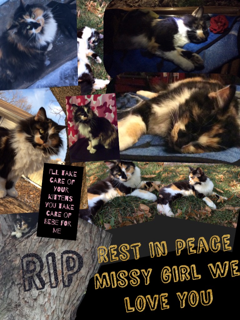 RIP Missy
