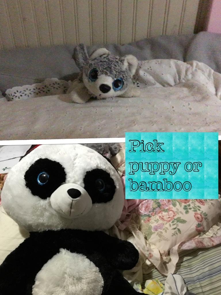 Pick puppy or bamboo