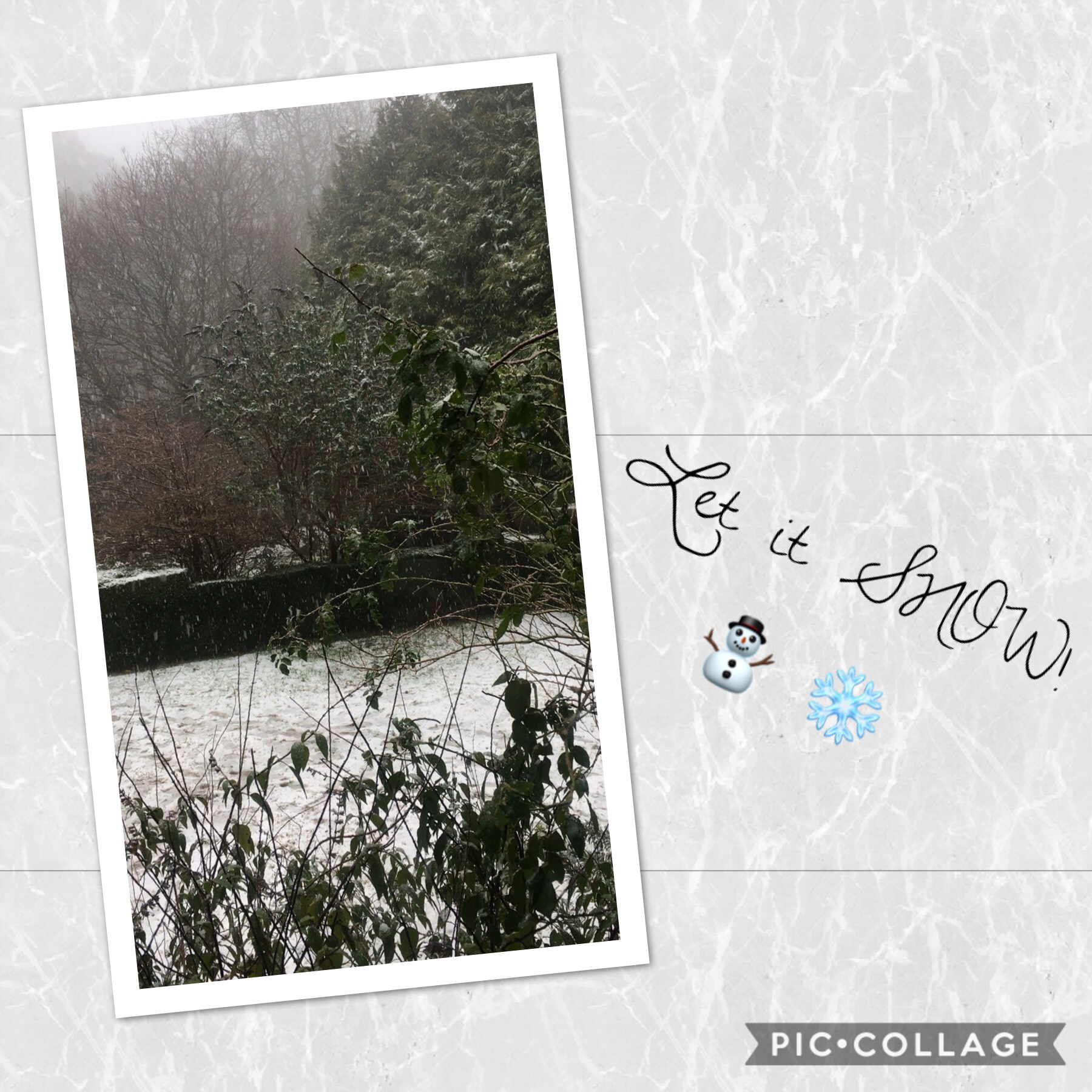 Let it snow! ⛄️ ❄️ 