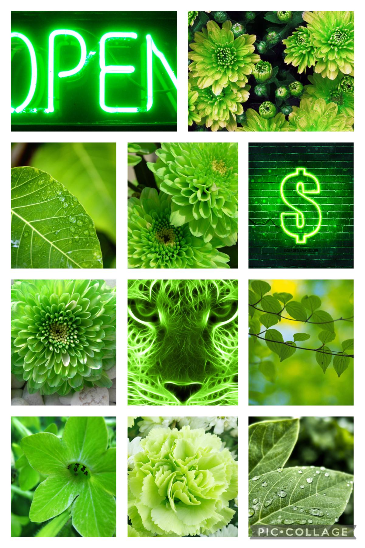 Do y’all like my green collage
