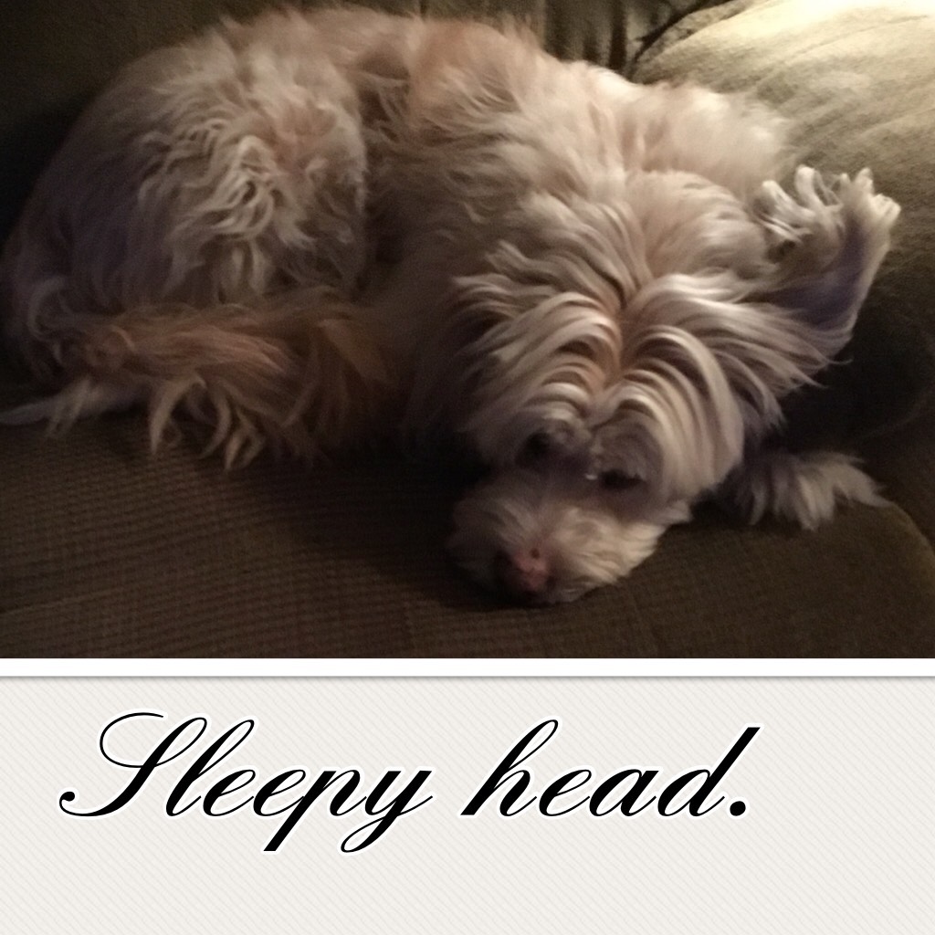 Sleepy head. 