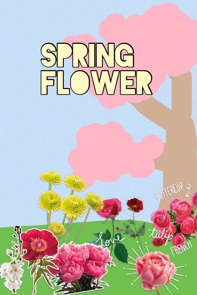 Spring Flowers
