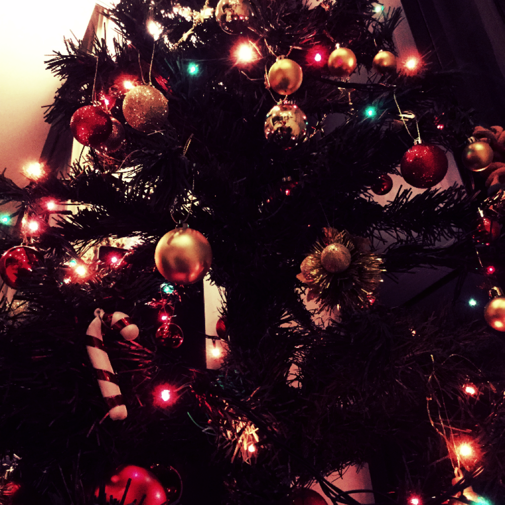 ✨❤️MERRY CHRISTMAS AND HAPPY HANUKKAH!❤️✨ 