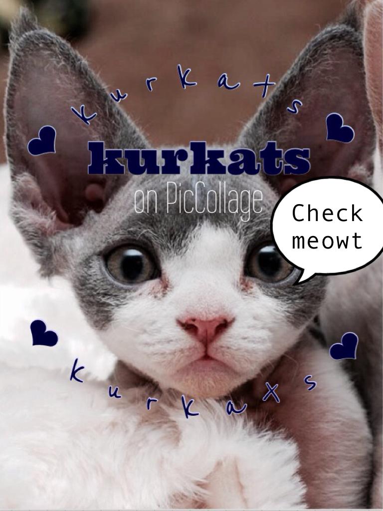 😺tap😺
Go check out kurkats! She made my awesome profile picture!