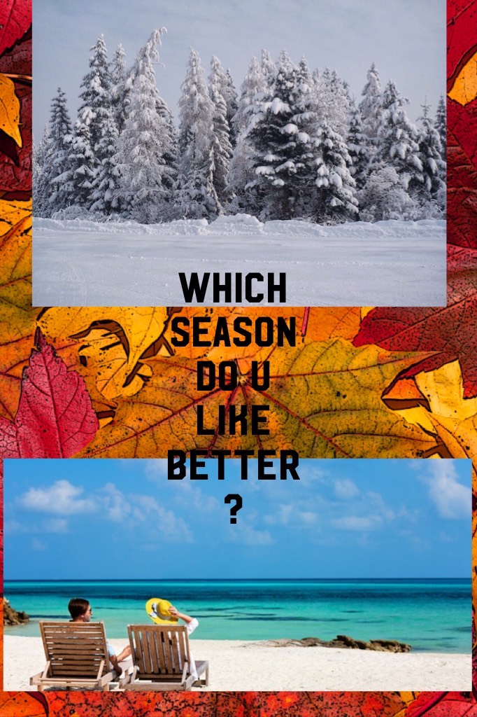 Summer or winter ? 