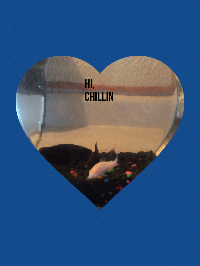 Hi, CHillin