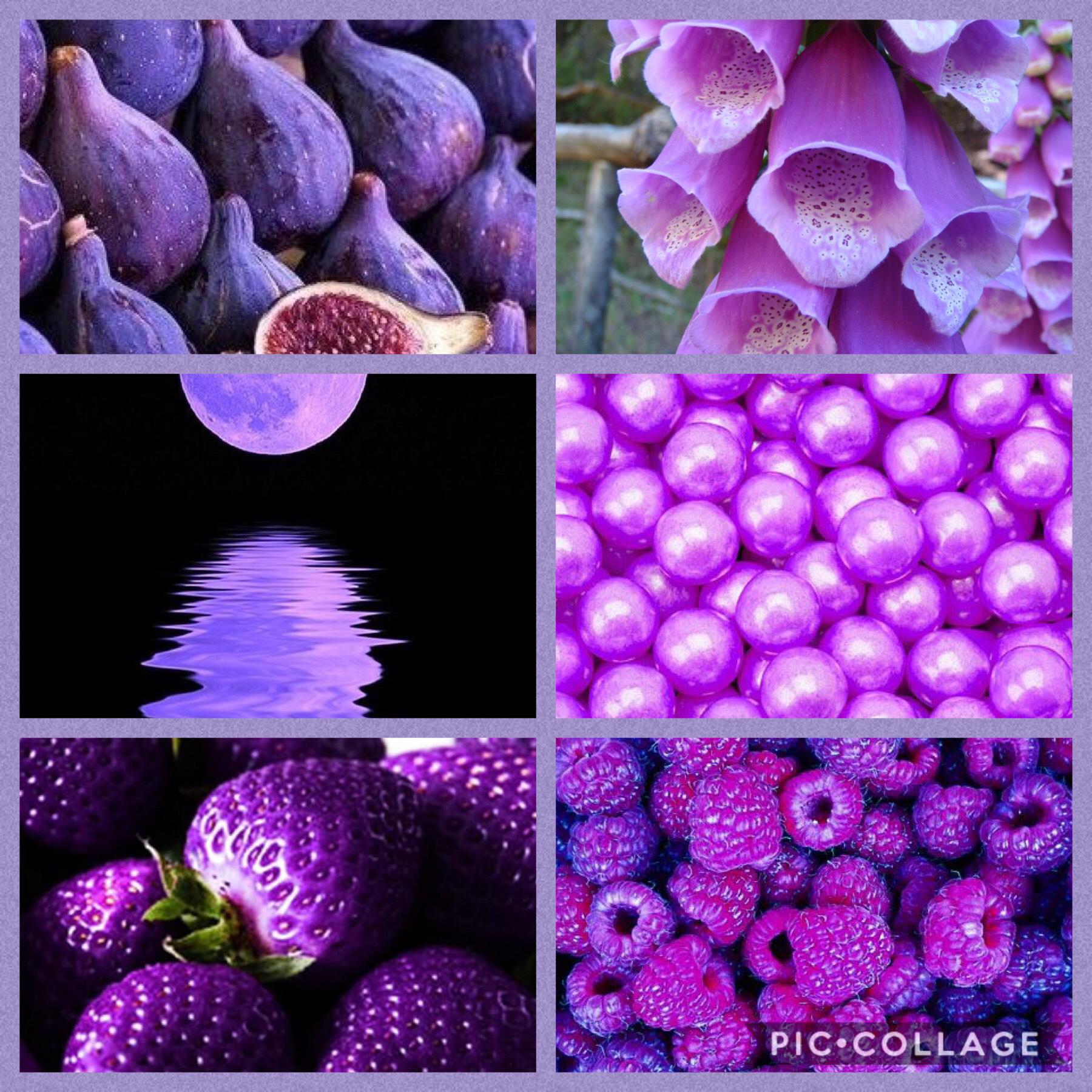 Purple, Purple, Purple