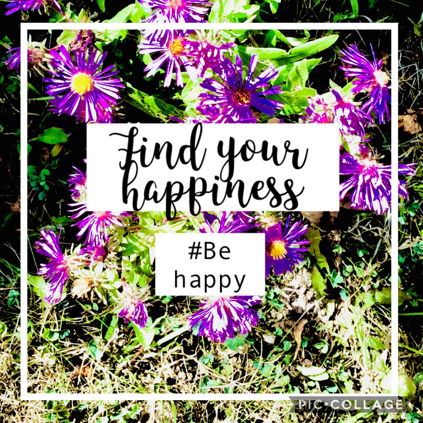 Find your happiness!