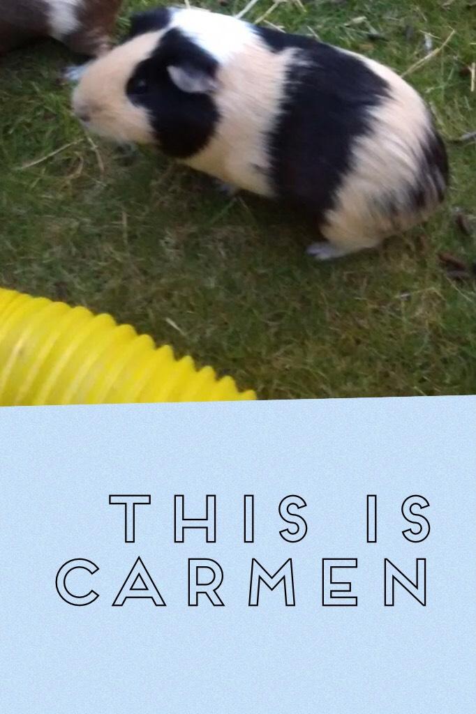 This is Carmen