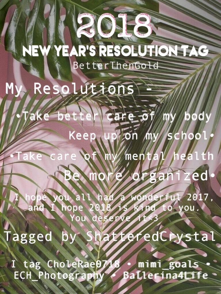 🎉2018 New Year’s Resolutions Tag🎉

