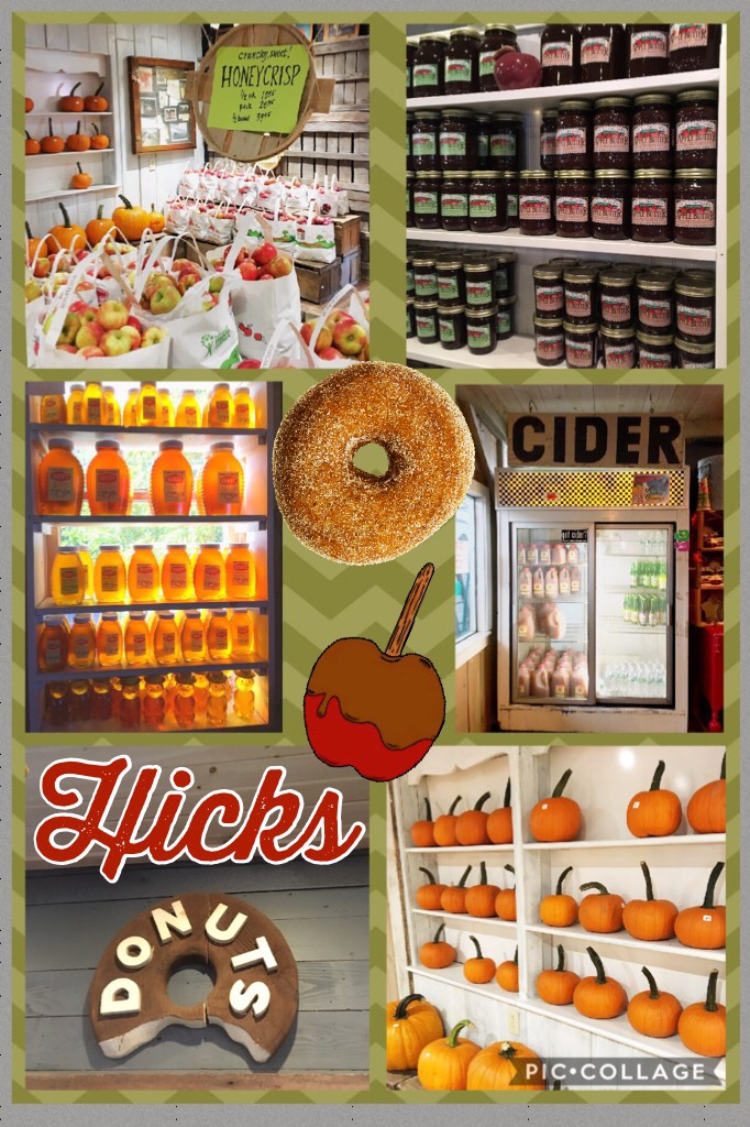 More pics! 😜🍂🍎 Their sugar donuts are so good. 🤤🍩 I forgot to take pics of them, but ya know... we ate them. 😂 But the png looks just like them so whatevs. 😆