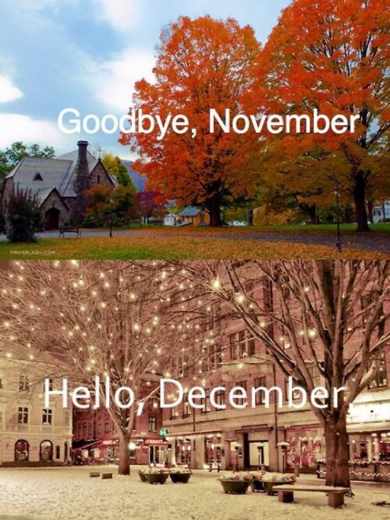 Goodbye November👋 Hello December, last day of November😞