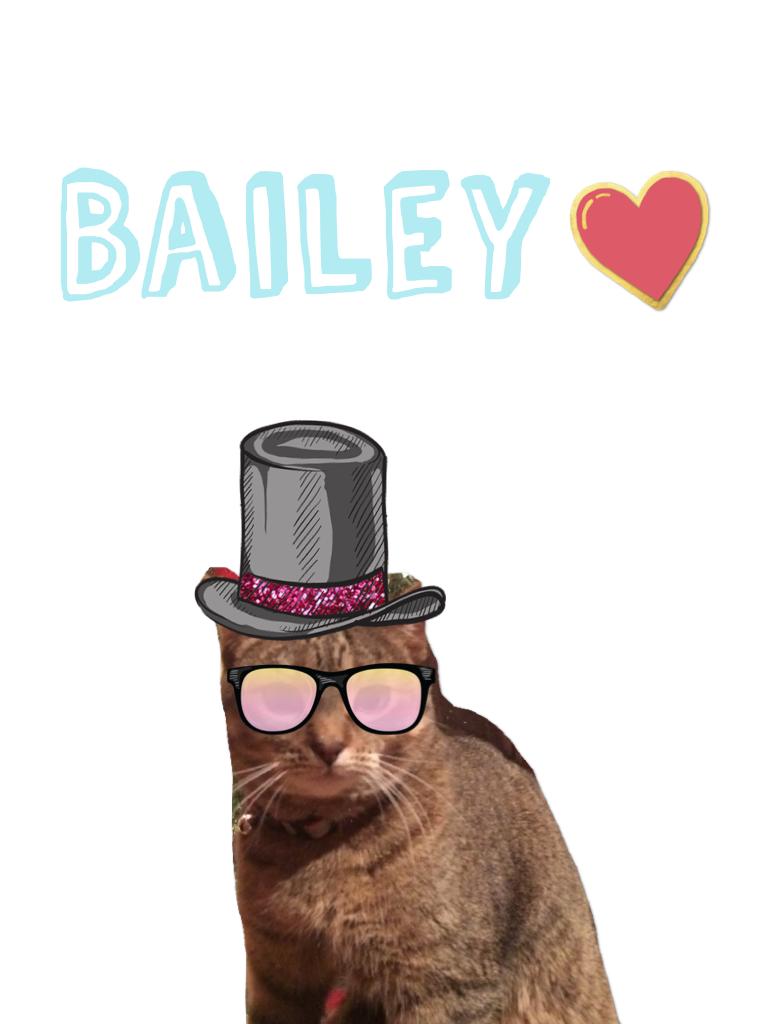 I love bailey!!😍 she's a cat!🐱