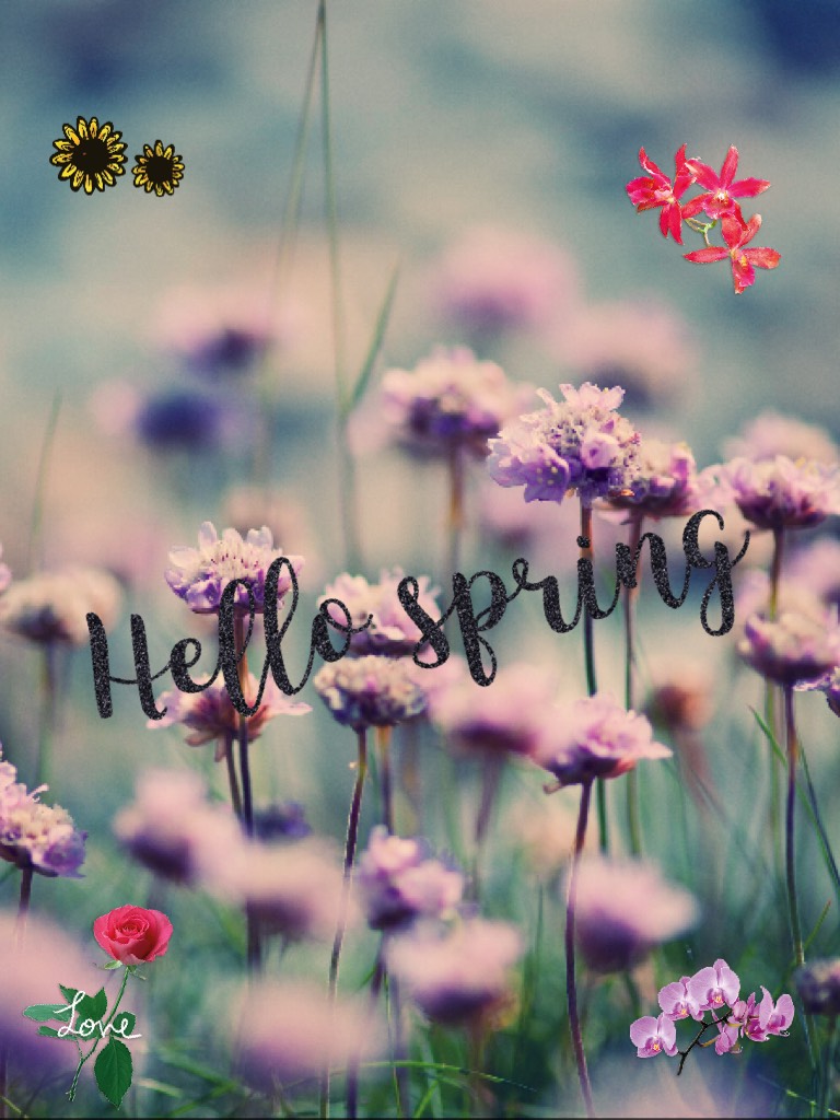 Hello spring 
